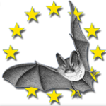 Nuit de la chauve-souris