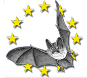 Nuit de la chauve-souris