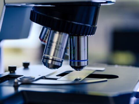 La nature au microscope