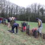 Chantier participatif gestion de haies