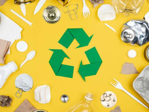 Visite du centre de tri  des déchets