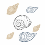 A la découverte des mollusques