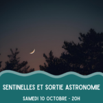 Sentinelles et sortie astronomie