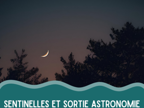 Sentinelles et sortie astronomie