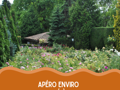 Apéro enviro - biodiversité à domicile : petits gestes, grand impact