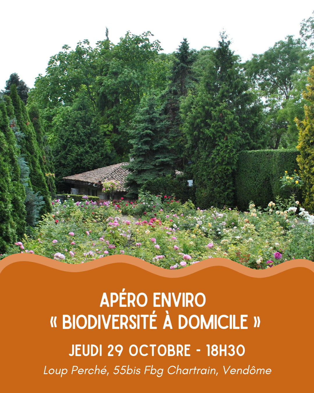 Apéro enviro - biodiversité à domicile : petits gestes, grand impact